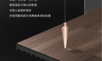 梵戴克地板，打造品味非&ldquo;梵&rdquo;的潮流家