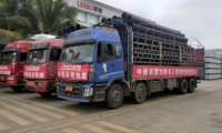 聯(lián)塑集團(tuán)踐行企業(yè)社會(huì)責(zé)任，展現(xiàn)大國品牌擔(dān)當(dāng)