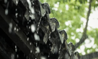 消費者的選擇丨千年舟光觸媒抗菌生態板，分解細菌「無間斷」