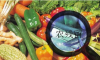家庭食品安全我們該怎么辦？食材凈化機有效嗎？