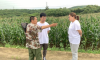 跟黨走 共奮進｜藝術學院學生黨支部紅色實踐團：紅色筑夢鄉村振興