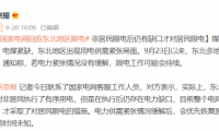 &ldquo;東北限電&rdquo;家庭應(yīng)急儲電不能成為空談，正浩相伴有電無患