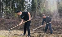 周寧煙草：打響春耕生產(chǎn)&ldquo;第一仗&rdquo;，讓拋荒撂荒耕地&ldquo;重獲新生&rdquo;