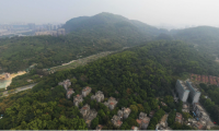 喜報丨深耕南沙，再添新秀