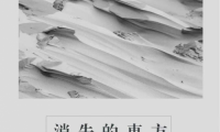 回響之外x張海華：消失的東方才是真正的東方