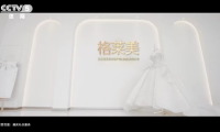 格萊美助力體育賽事|將體育精神注入品牌文化，為品牌賦能