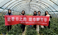 遇見&ldquo;莓&rdquo;好 中建安裝南方公司開展&ldquo;三八&rdquo;婦女節(jié)活動(dòng)