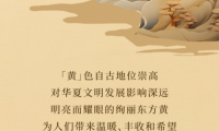 美涂士藝術漆：如果色彩有溫度，最暖之黃為你守候