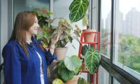 范湉湉的&ldquo;花花世界&rdquo;，藝術(shù)巖板「繁花」與冠珠韶華「南山蘆花」搭配亮了