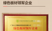 	質(zhì)量誠信，綠色板材丨大王椰榮獲315環(huán)保品質(zhì)消費兩項大獎	