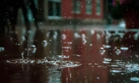 千年舟石墨烯黑金板無懼梅雨季節，讓家依然純凈清新