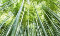 超高防潮丨性能與美學(xué)兼具，這張好板更懂健康生活