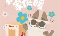 實木貓屋、公益領(lǐng)養(yǎng)，大王椰用&ldquo;場景化美學&rdquo;破局高端板材營銷