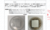 浴室高濕區域適合做微水泥嗎？萬磊防水防潮配方實地測評