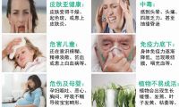 家里有老人小孩孕媽媽，室內裝修膩子粉哪個品牌最好最環保？