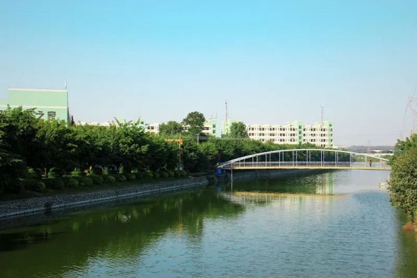 05.jpg