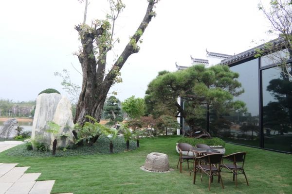 送服務！清遠高新稅務助力重點鄉(xiāng)村振興樣板區(qū)建設.jpg