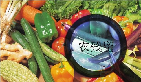 家庭食品安全我們該怎么辦？食材凈化機有效嗎？