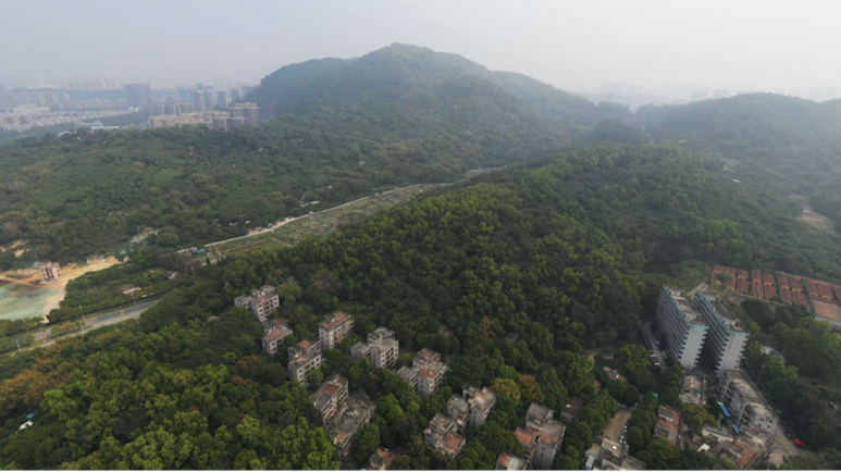 喜報(bào)丨深耕南沙，再添新秀