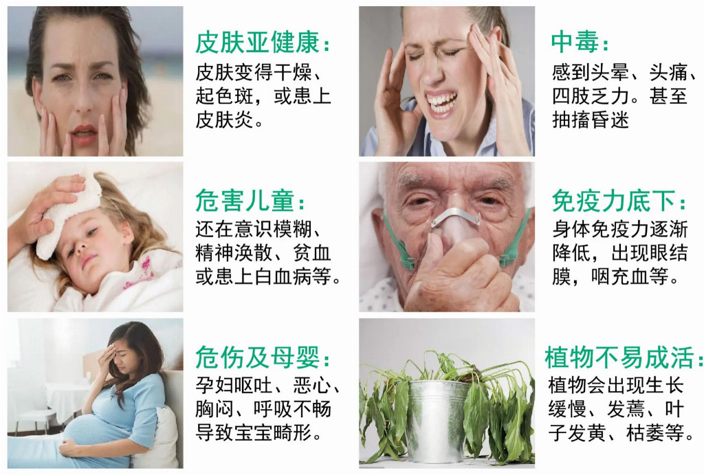 家里有老人小孩孕媽媽，室內裝修膩子粉哪個品牌最好最環保？