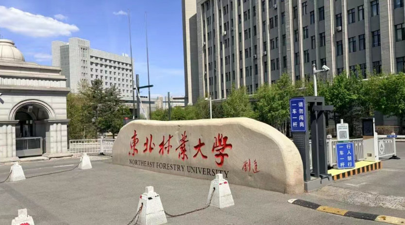 紋藝覺醒&middot;舟行東方丨千年舟走進(jìn)東北林業(yè)大學(xué)，共啟家居設(shè)計(jì)新篇